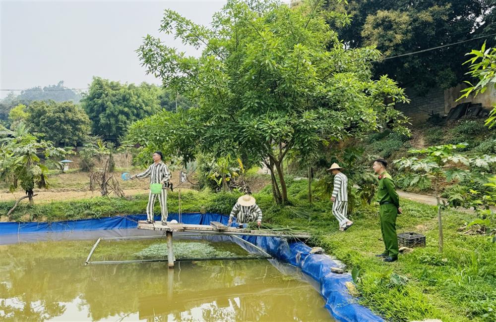 Các phạm nhân chăm nuôi cá tại Trại tạm giam.