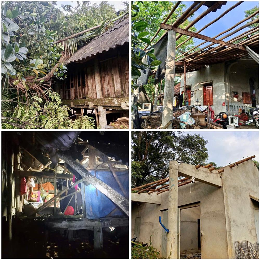 Sau giông lốc, 13 căn nhà và 5 ha hoa màu trên địa bàn xã Chí Đạo bị ảnh hưởng.