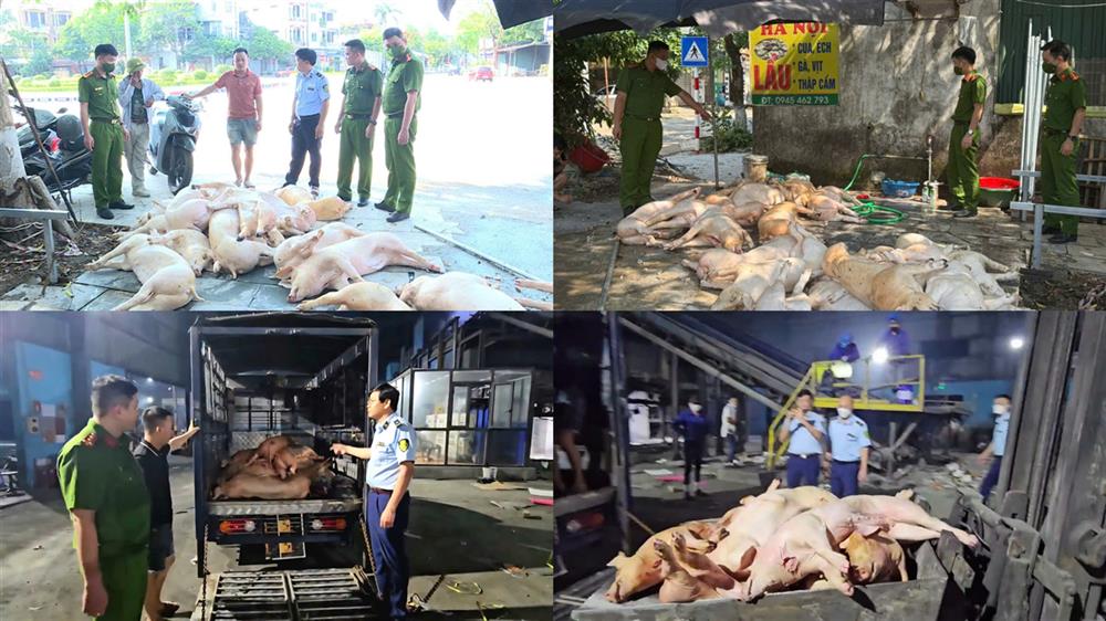 2. Công an tỉnh Vĩnh Phúc cùng các cơ quan chức năng phát hiện, xử lý tiêu hủy hơn 01 tấn “thịt lợn bẩn” không rõ nguồn gốc tại nhà hàng Thanh Mai, ở phường Đồng Tâm, thành phố Vĩnh Yên.