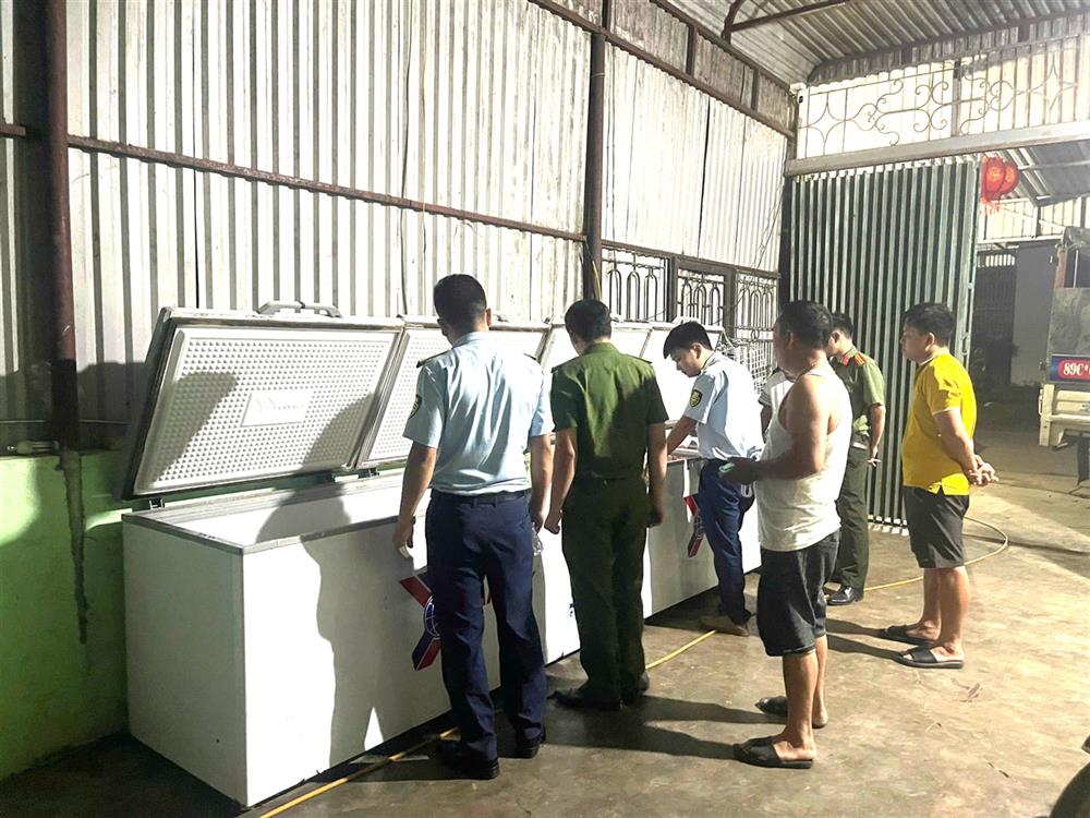 Lực lượng chức năng phát hiện có 02 tủ đông, bên trong chứa 460kg thịt lợn chết do gia đình ông Chiến thu mua về. 