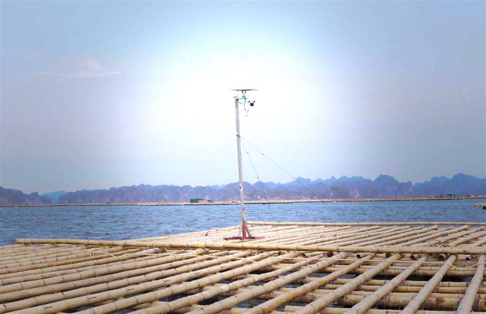 Hình ảnh những chiếc camera ngoài biển thuộc xã Hoàng Tân.