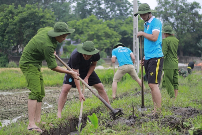 Dọn dẹp cảnh quan môi trường.