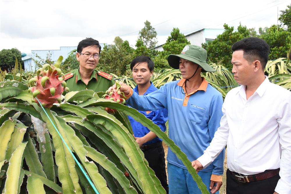 Các ban, ngành, đoàn thể tham quan vườn thanh long của vợ chồng anh Sơn.