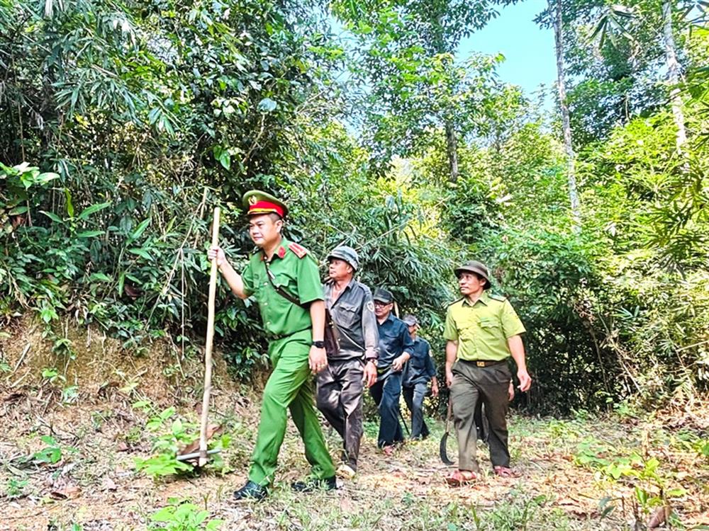 Các lực lượng phối hợp kiểm tra hiện trạng rừng tại xã Khánh Thượng, huyện Khánh Vĩnh.