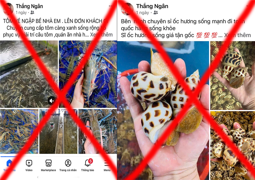 Trang facebook đối tượng lập để lừa bán hải sản online.